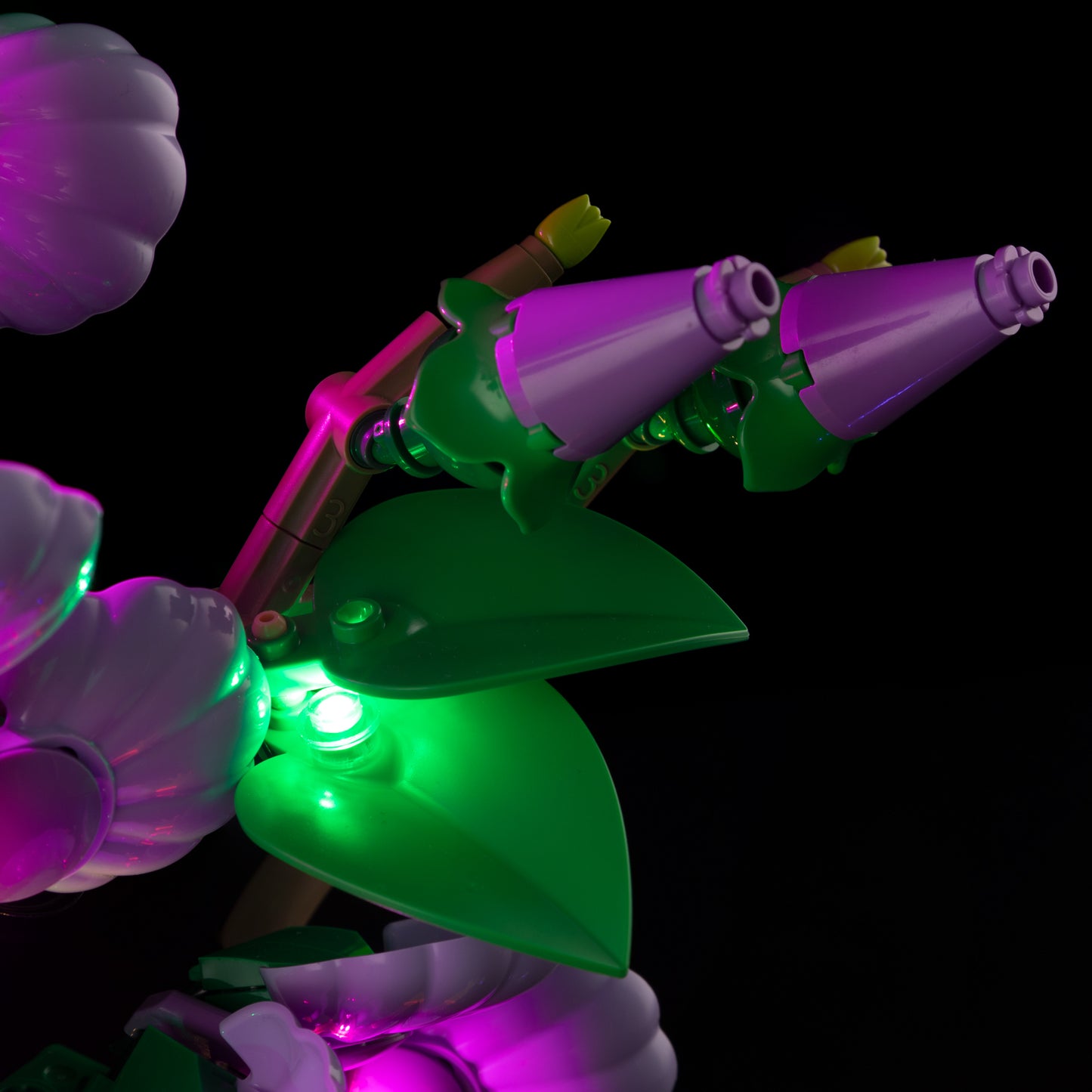 10372-Hibiscus-Detail Light2.jpg