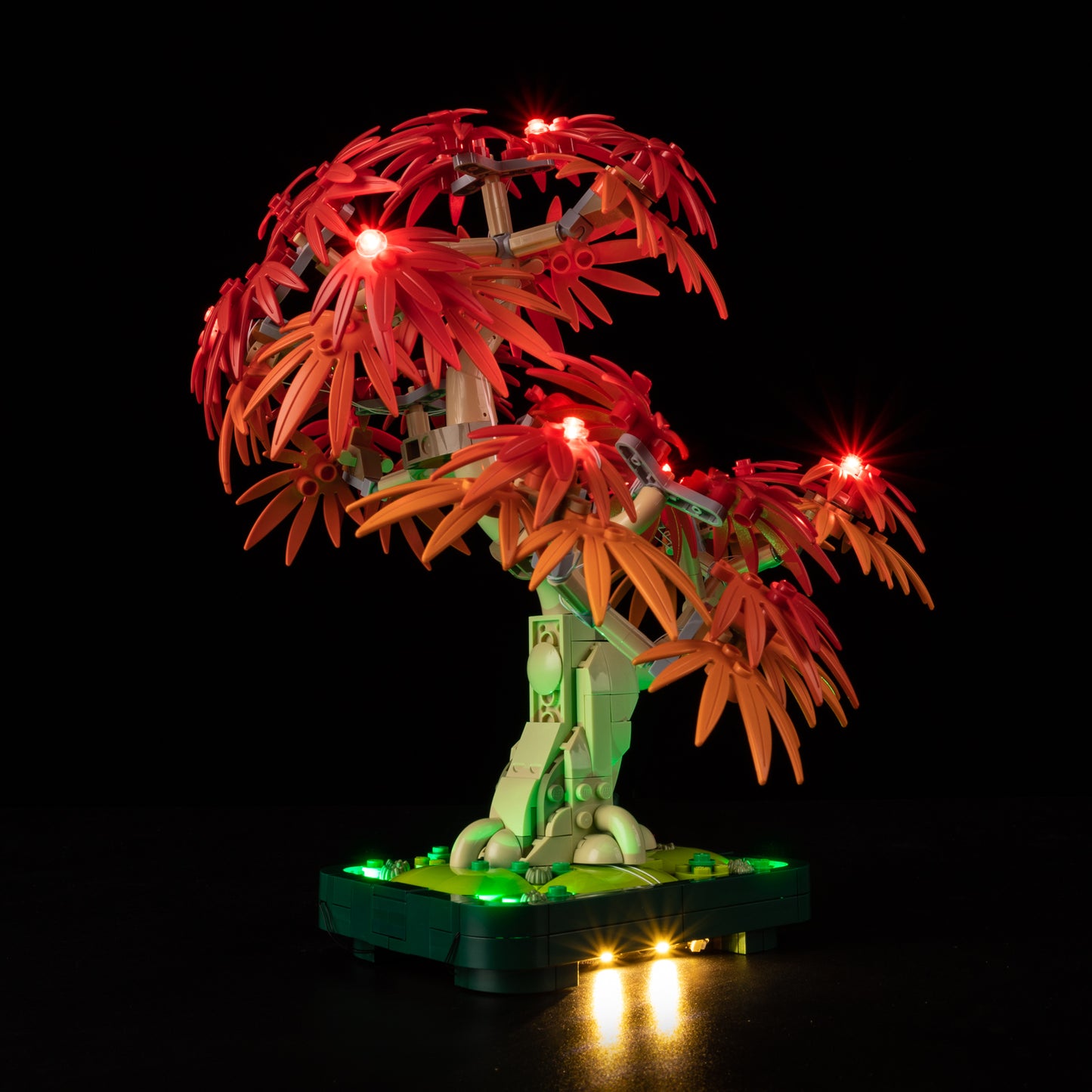 10348-Japanese-Red-Maple-Bonsai-Tree-Detail5