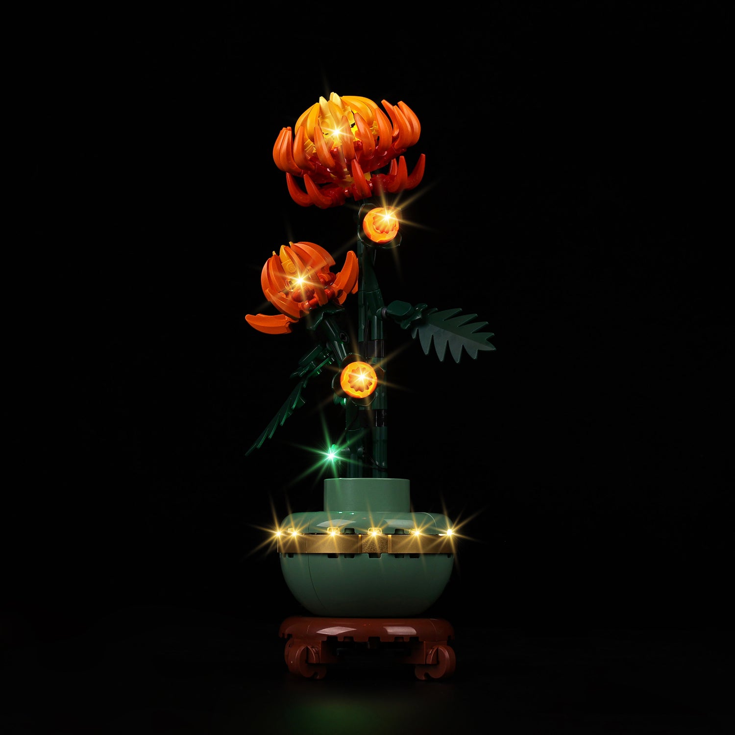10368-Chrysanthemum-Light4.jpg
