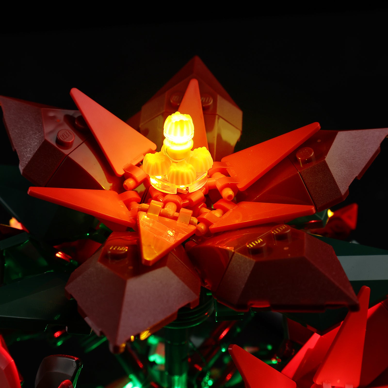 10370-Poinsettia-Light1.jpg