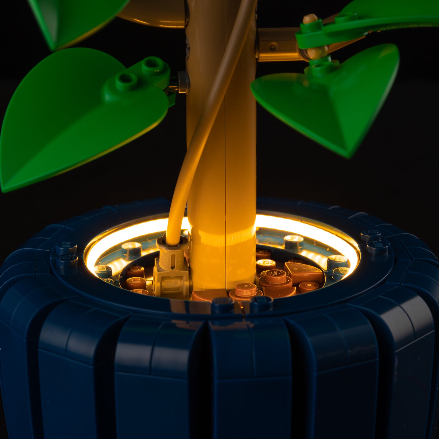 10372-Hibiscus-Detail Light4.jpg