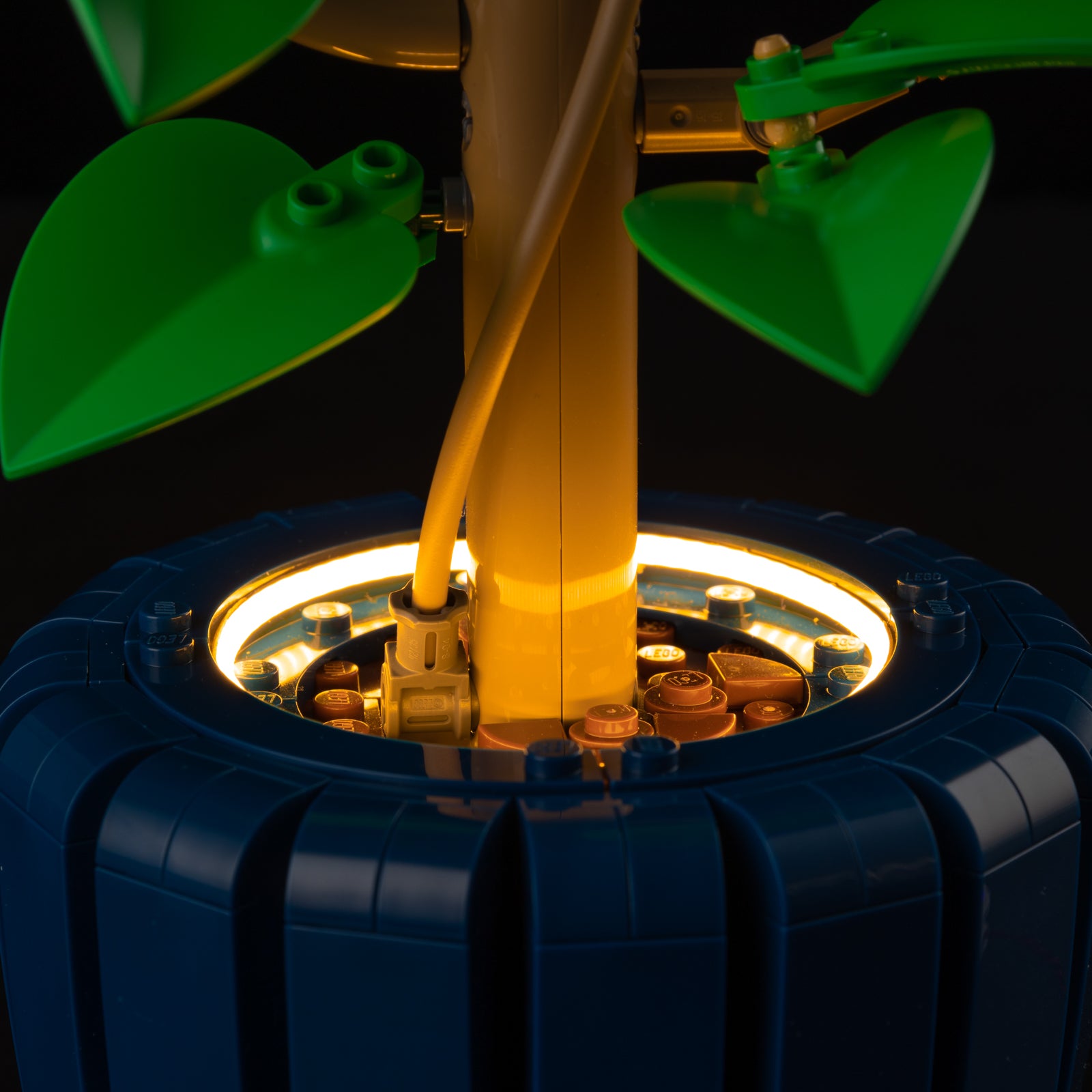 10372-Hibiscus-Detail Light4.jpg
