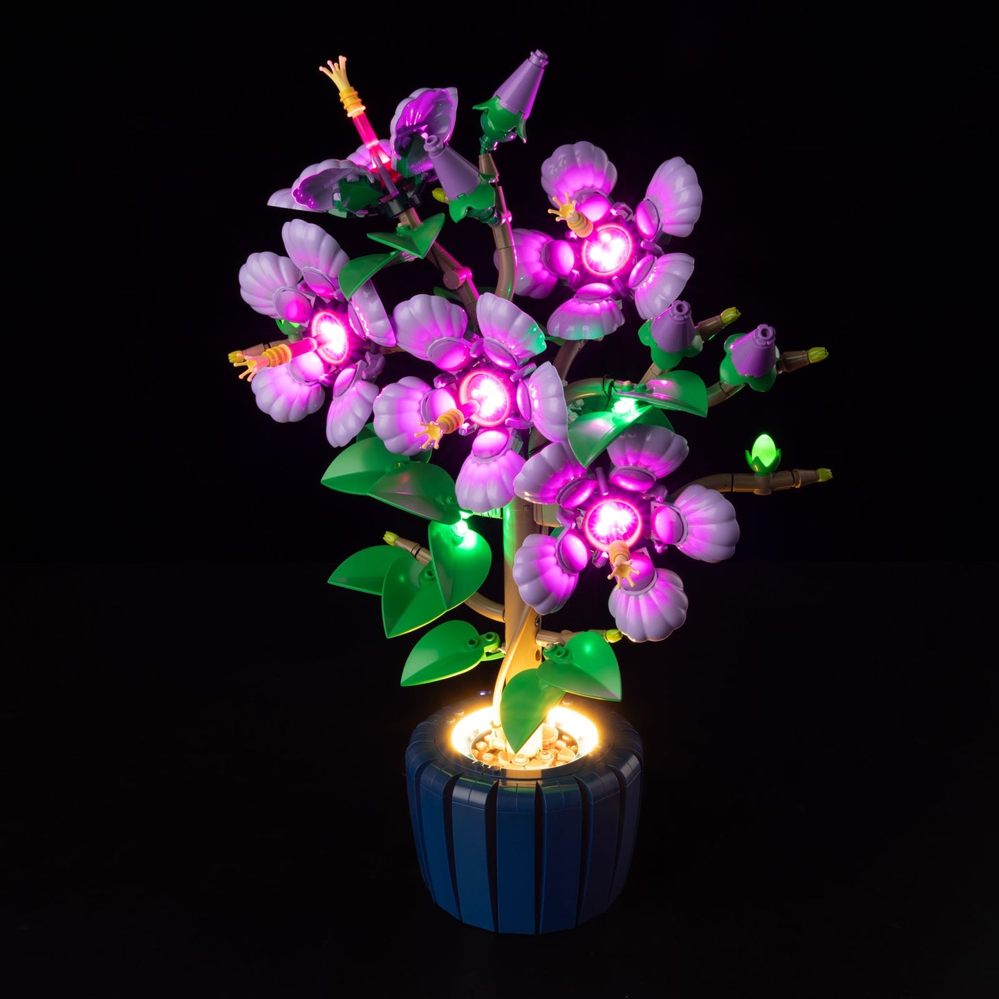 Light Kit For LEGO Hibiscus 10372 - Gallery Image 3