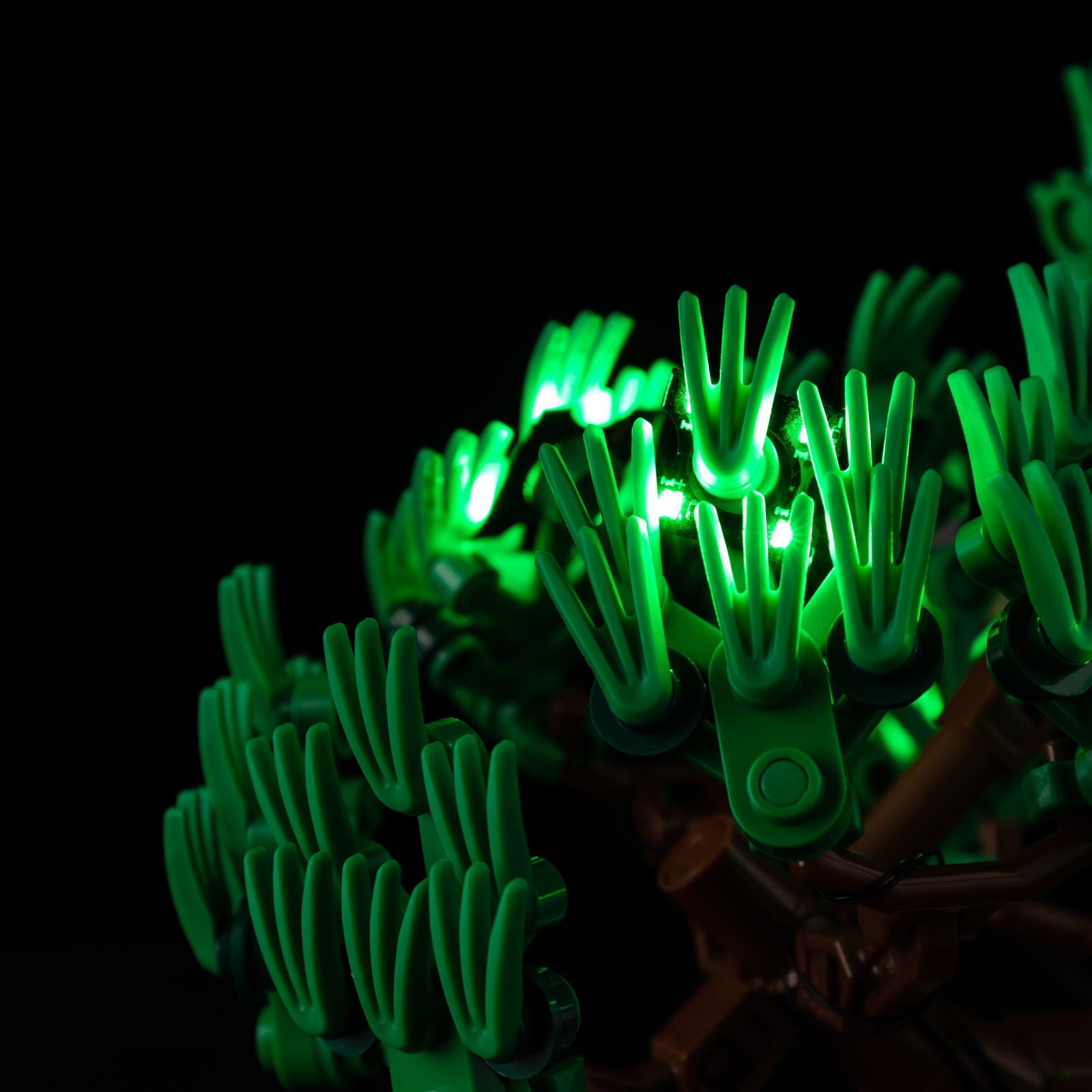 10373-Mini-Bonsai-Trees-Detail Light4.jpg