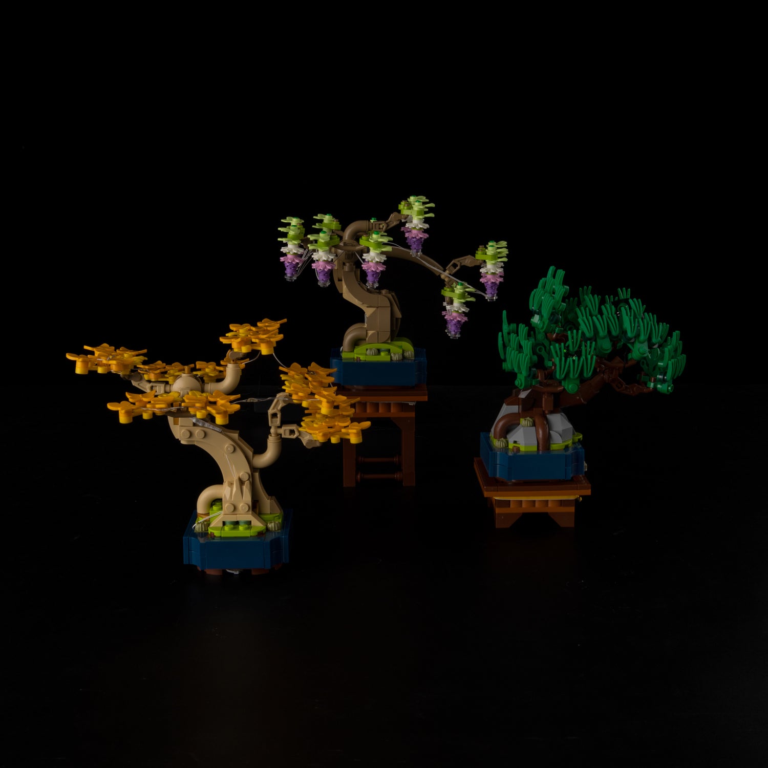 10373-Mini-Bonsai-Trees-Light1.jpg