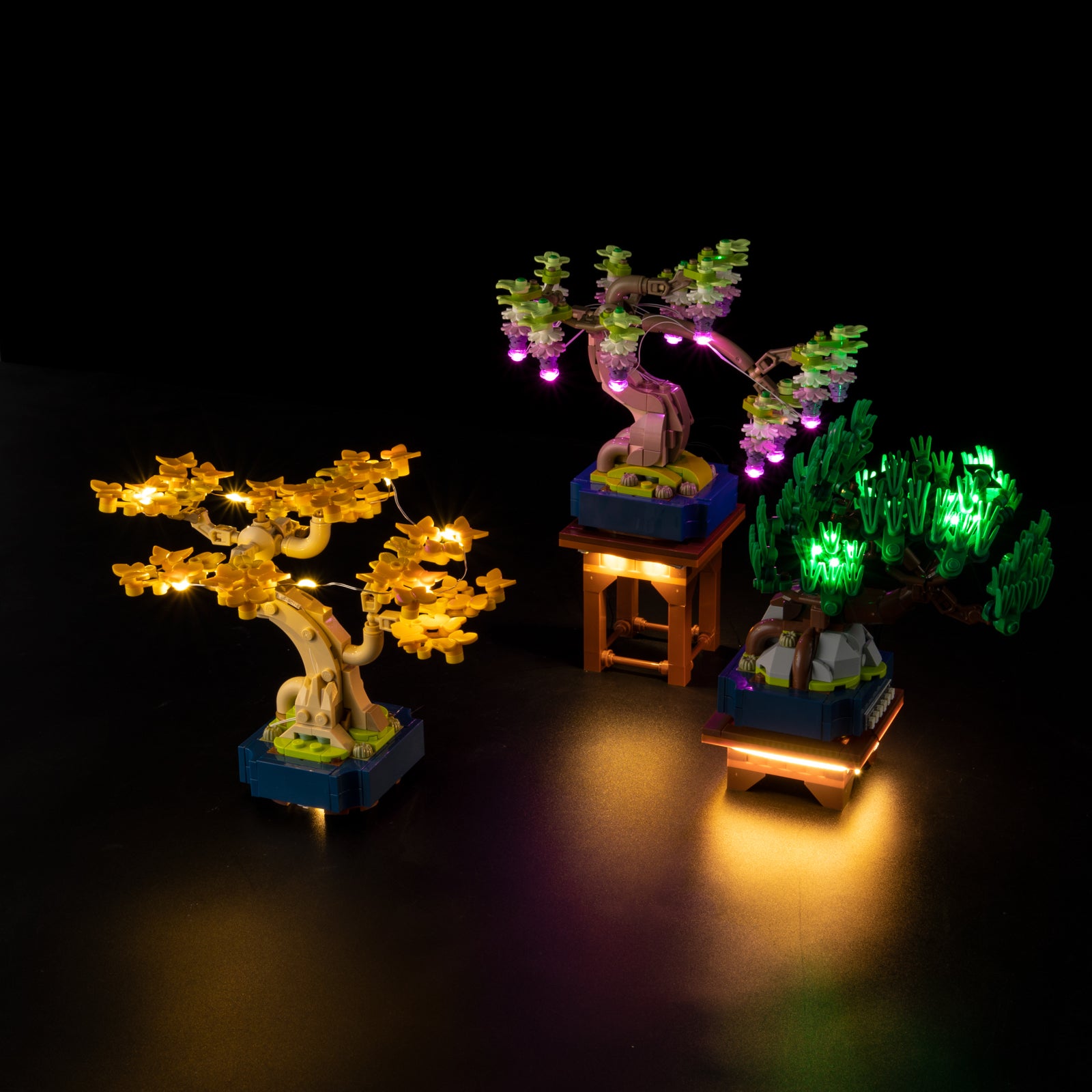 10373-Mini-Bonsai-Trees-Light2.jpg