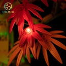 LED Light Kit for Japanese Red Maple Bonsai Tree 10348