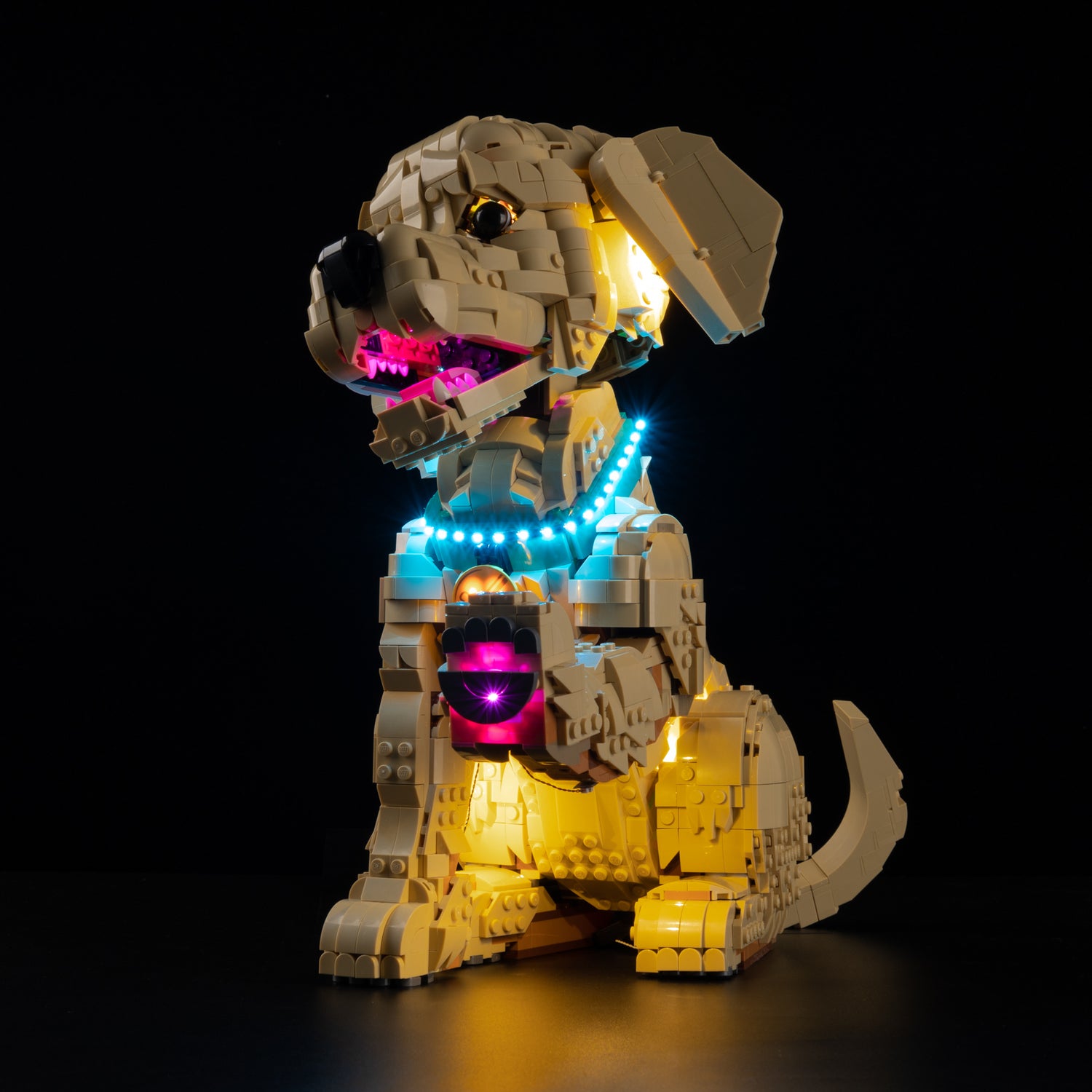 Low angle view of LEGO® Icons Golden Retriever Puppy