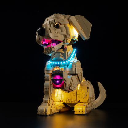 Low angle view of LEGO® Icons Golden Retriever Puppy