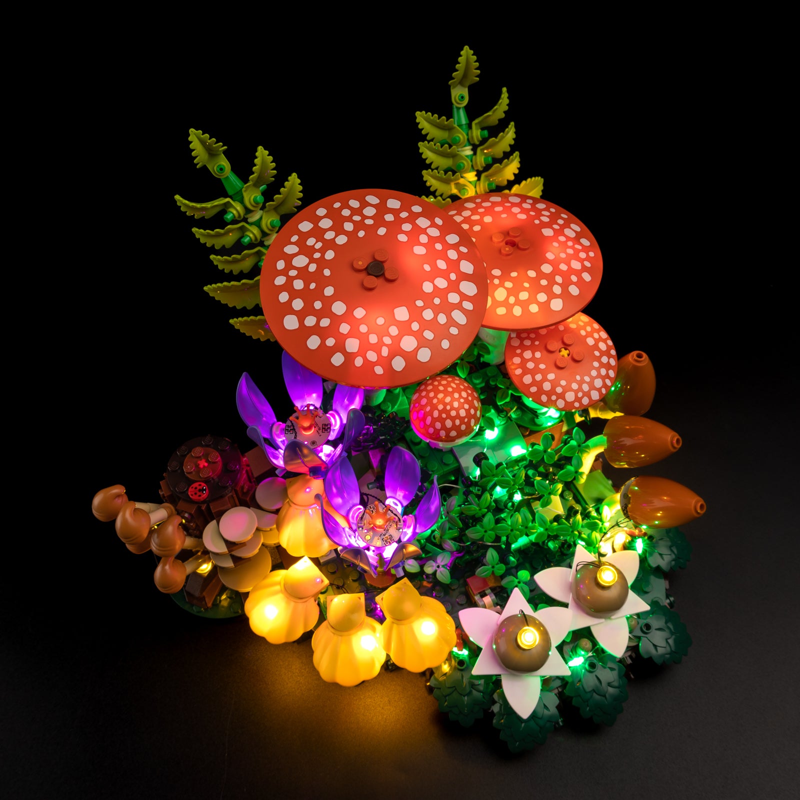 Top view of the Woodland Mushrooms with lights set