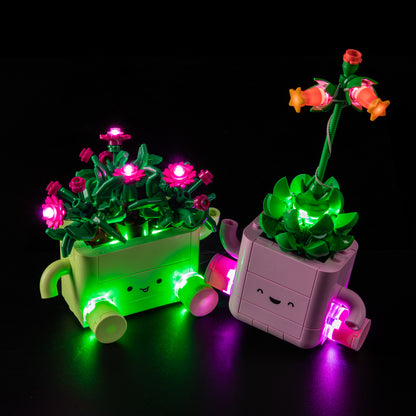 Top view of the Rocking_Plants with lights set