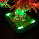 LED Light Kit for Japanese Red Maple Bonsai Tree 10348