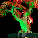 LED Light Kit for Japanese Red Maple Bonsai Tree 10348