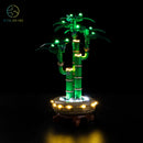 LED Light Kit for Lucky Bamboo 10344