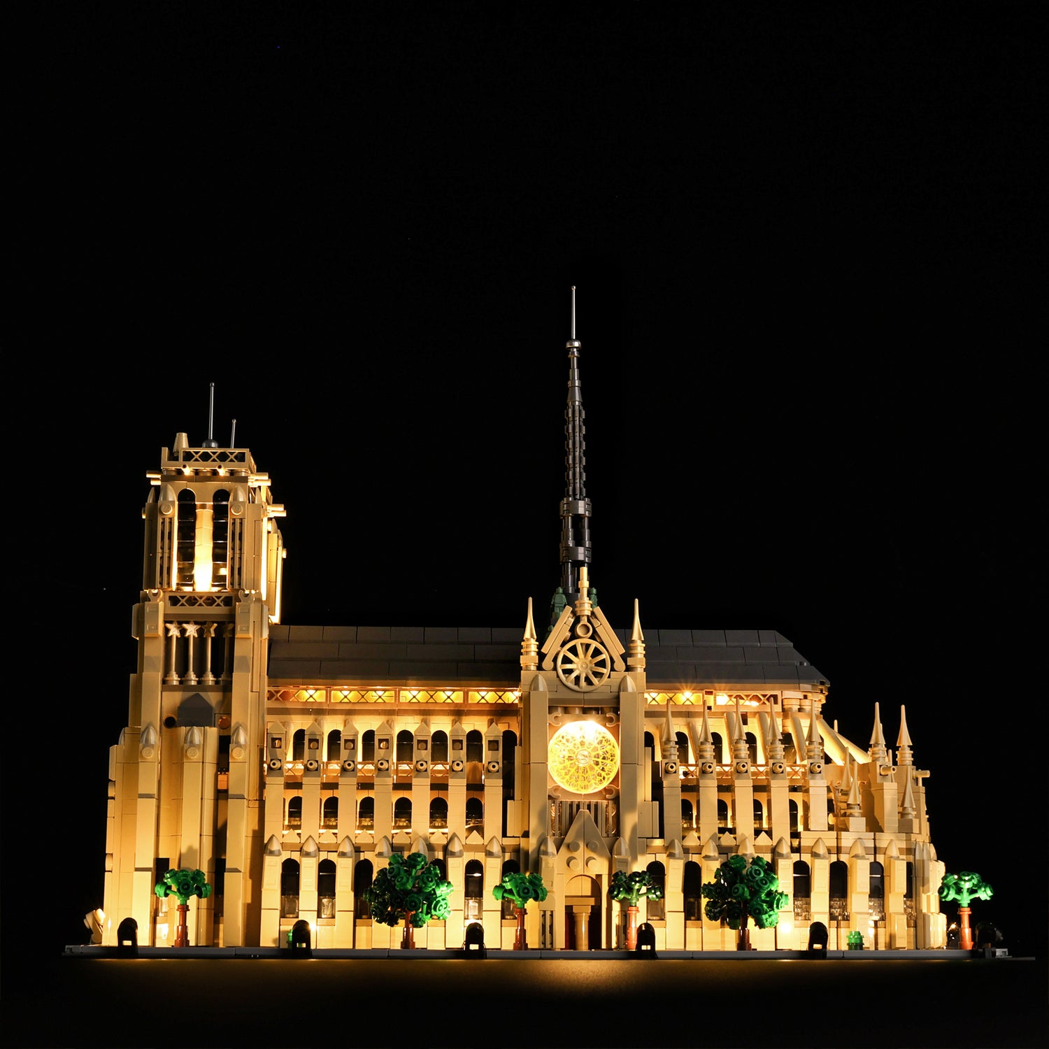 21061-Notre-Dame-de-Paris-Light2.jpg