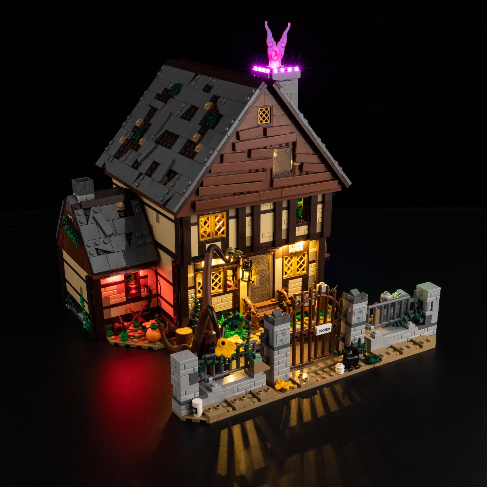21341-Disney-Hocus-Pocus-The-Sanderson-Sisters-Cottage-Detail Light1.jpg