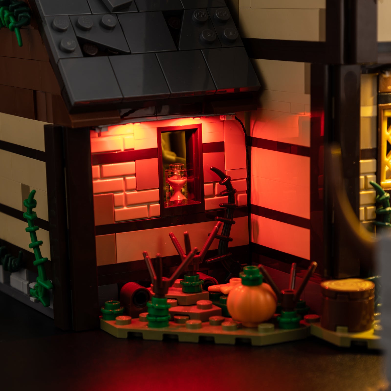 21341-Disney-Hocus-Pocus-The-Sanderson-Sisters-Cottage-Detail Light2.jpg