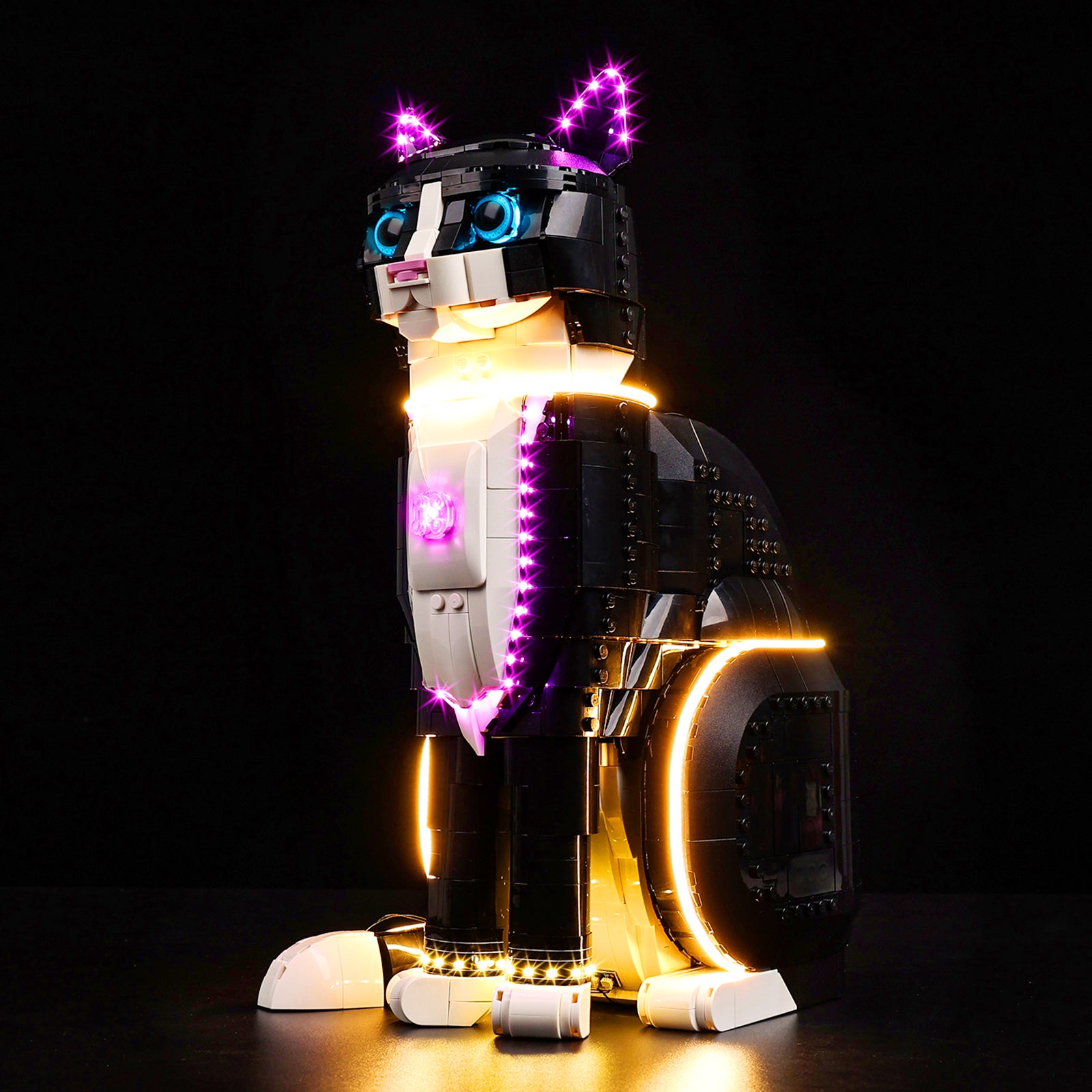 21349-Tuxedo-Cat-Light3.jpg