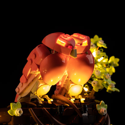 Light Kit For LEGO Love Birds 21365