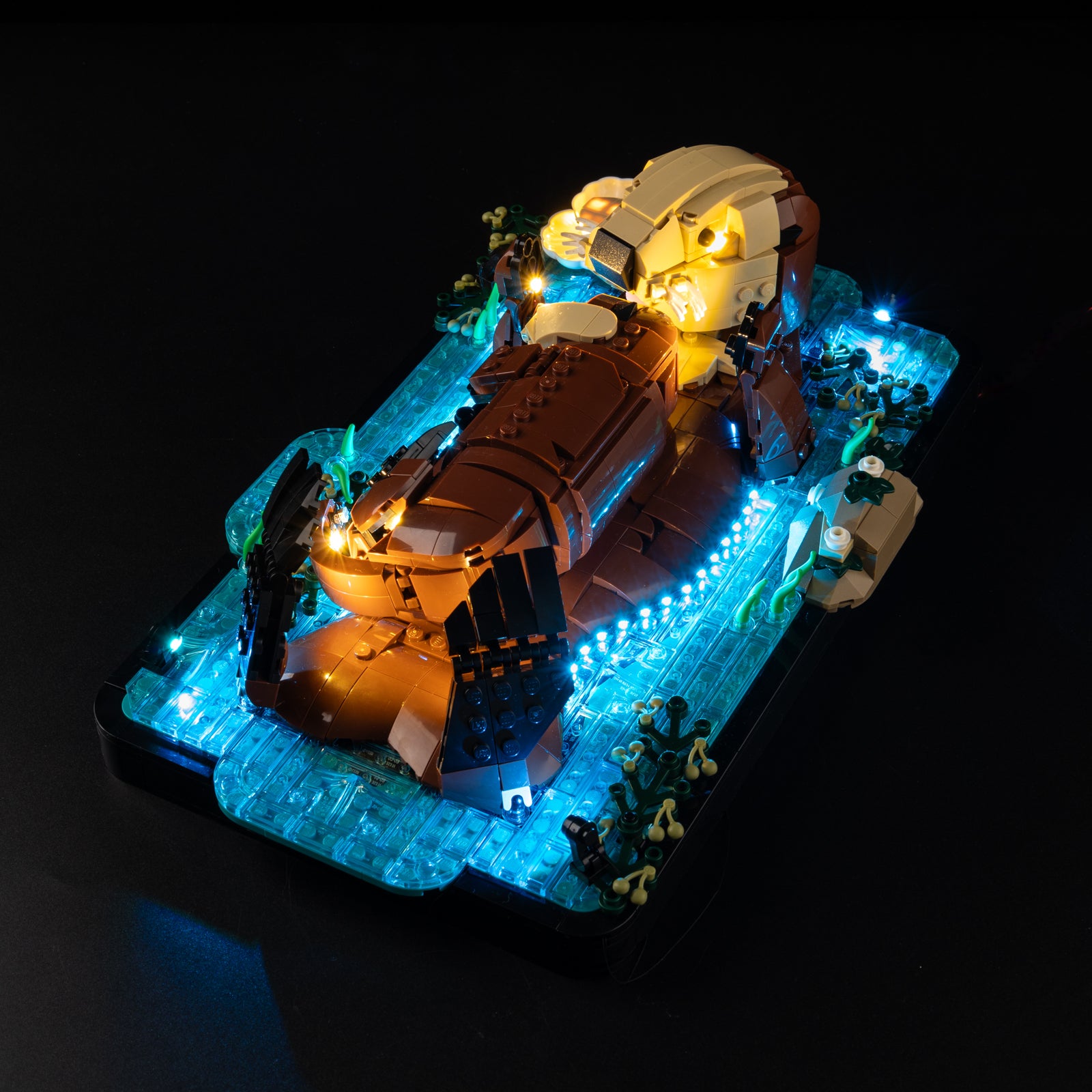 Top view of the Floating Sea Otters with lights set