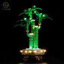LED Light Kit for Lucky Bamboo 10344