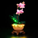 LED Light Kit for Mini Orchid 10343