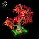 LED Light Kit for Japanese Red Maple Bonsai Tree 10348