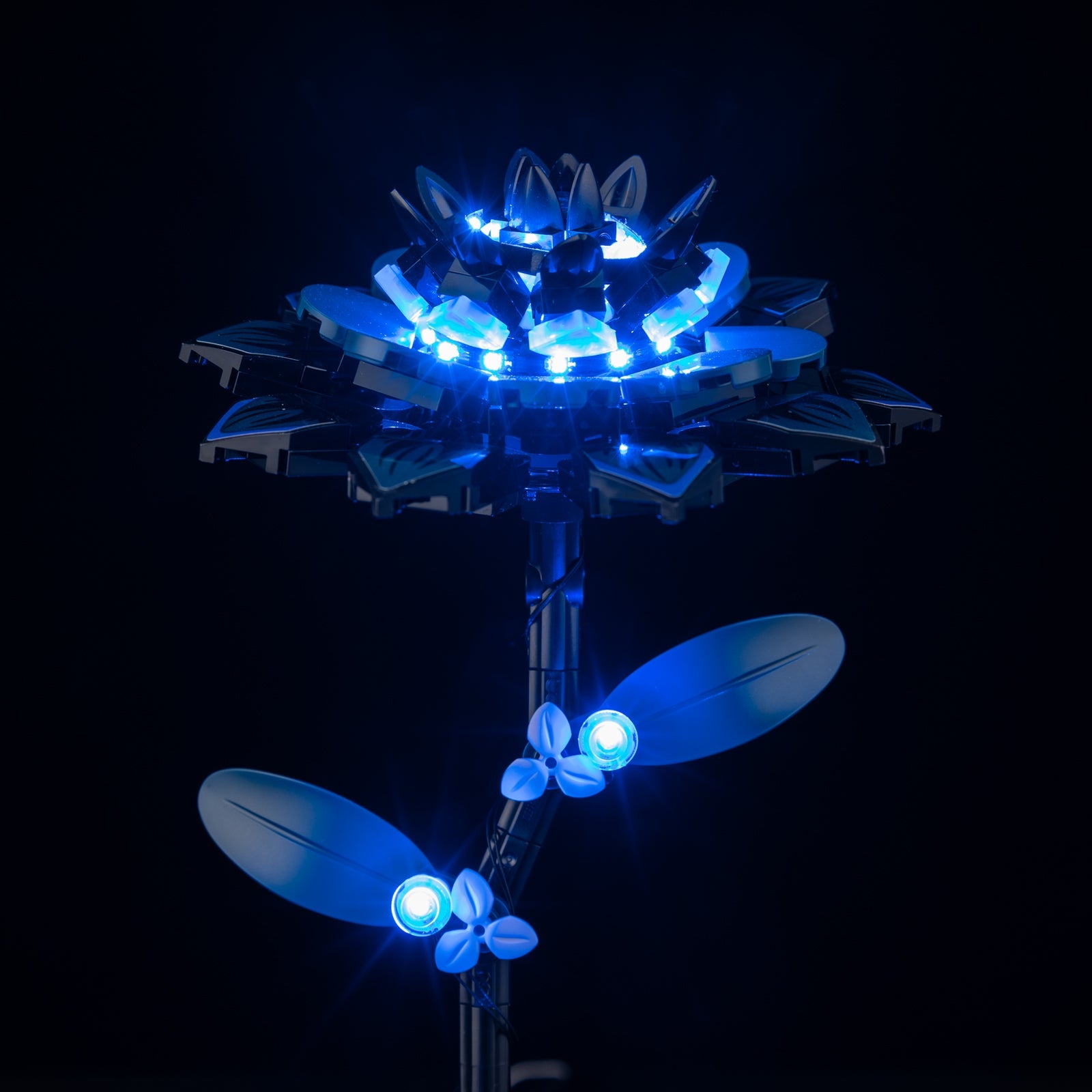 Light Kit For LEGO Black Dahlia Flower 76784 - 76784-Black-Dahlia-Flower-Black-Dahlia-Flower-Black-Dahlia-Flower-Black-Dahlia-Flower-Black-Dahlia-Flower-Black-Dahlia-Flower-Black-Dahlia-Flower-13-details