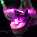 LED Light Kit for Wild Animals: Panda Family 31165