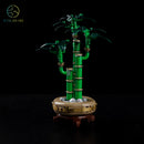 LED Light Kit for Lucky Bamboo 10344