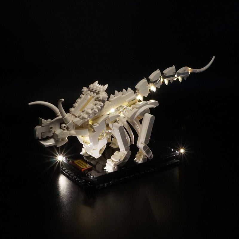 Led Light Kit for Dinosaur Fossils