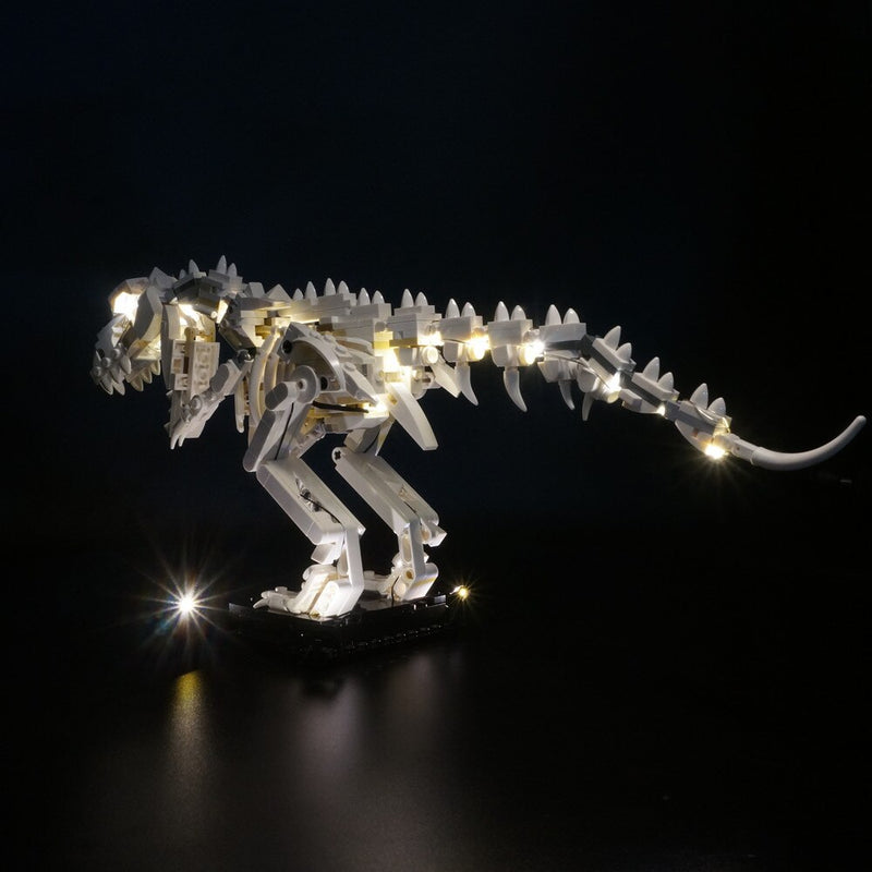 Led Light Kit for Dinosaur Fossils